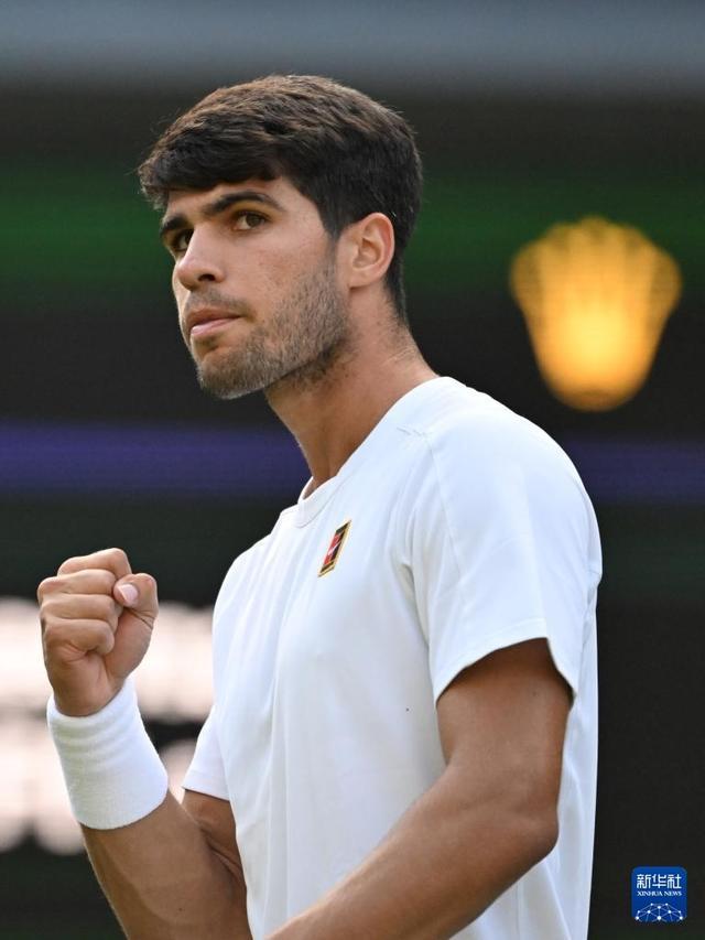 不仅可以提 不仅可以提