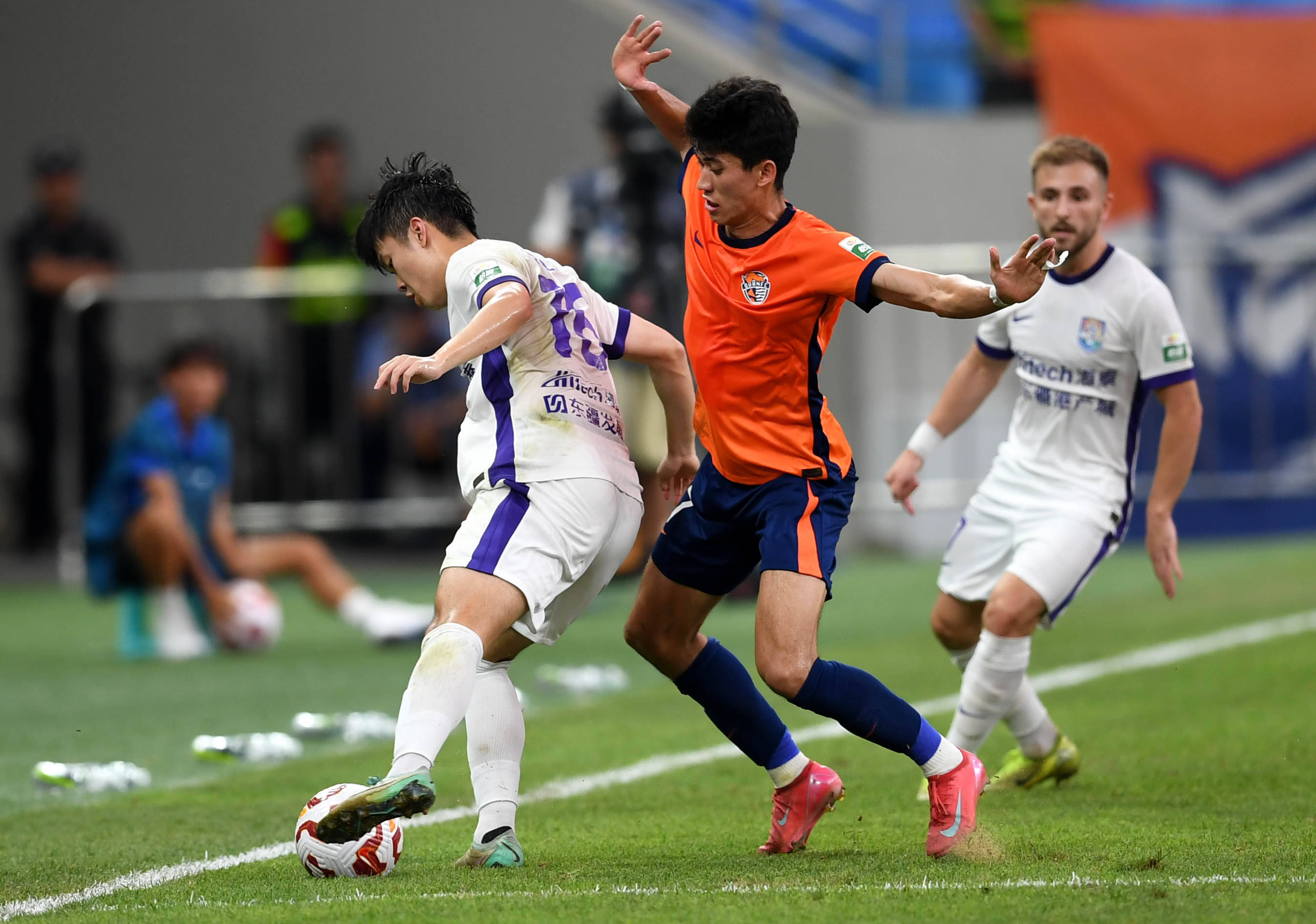 担并引进新 担并引进新